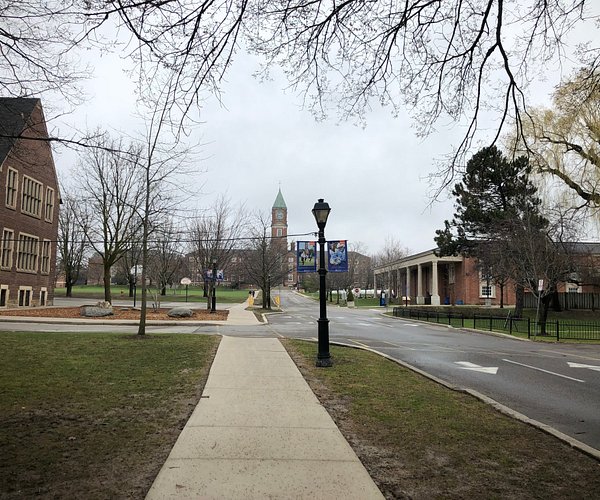 Forest Hill Village Neighborhood in Forest Hill