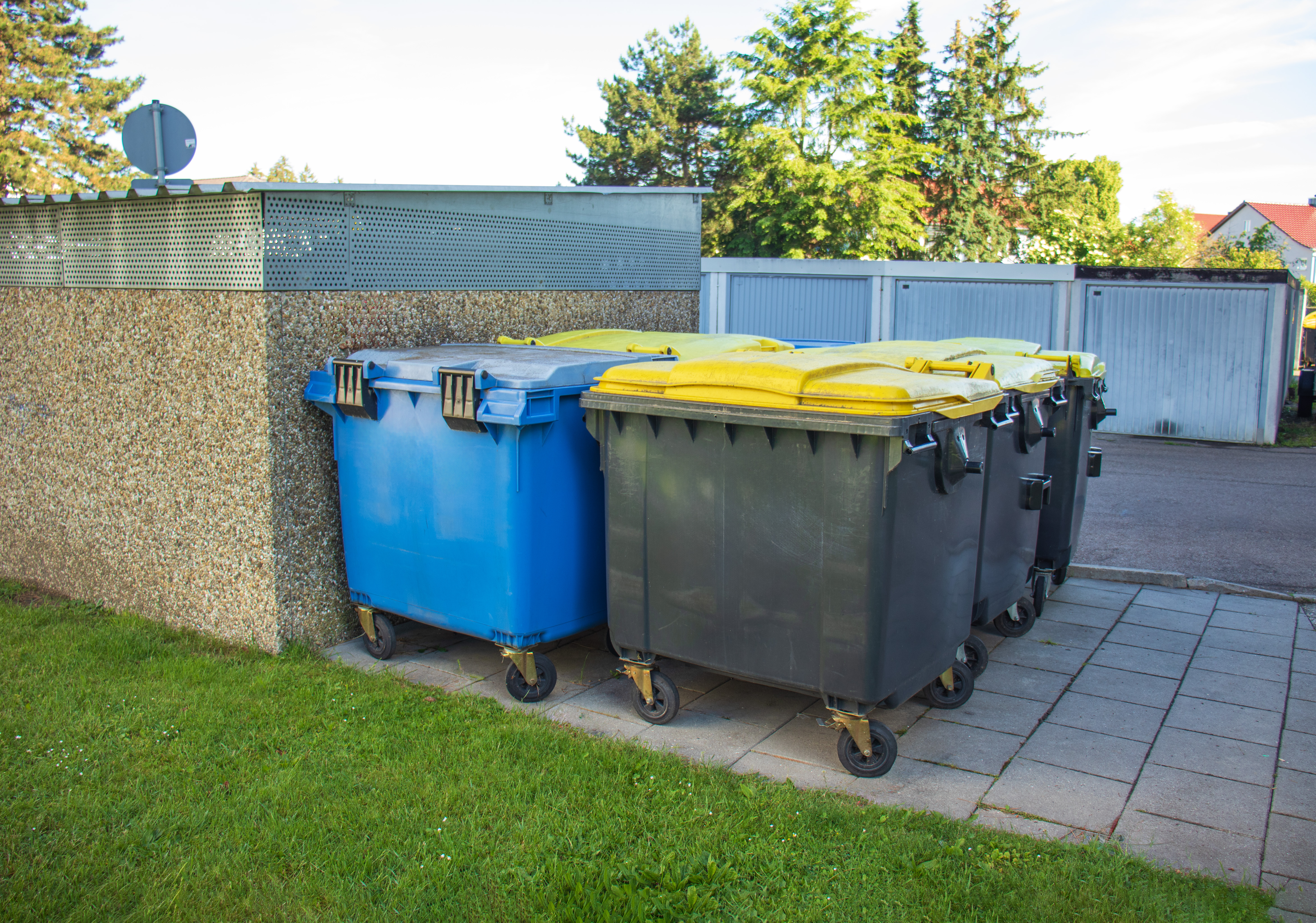 Front Load Dumpster 3